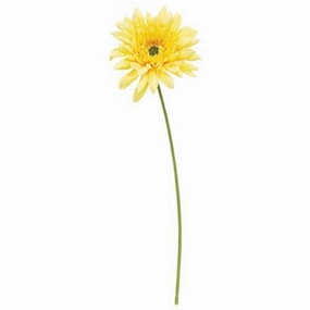 *Blooming Daisy Stem Dark Yellow