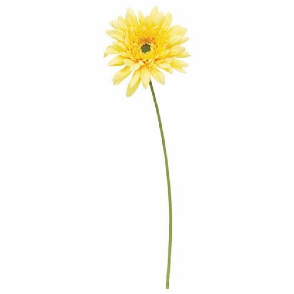 *Blooming Daisy Stem Dark Yellow