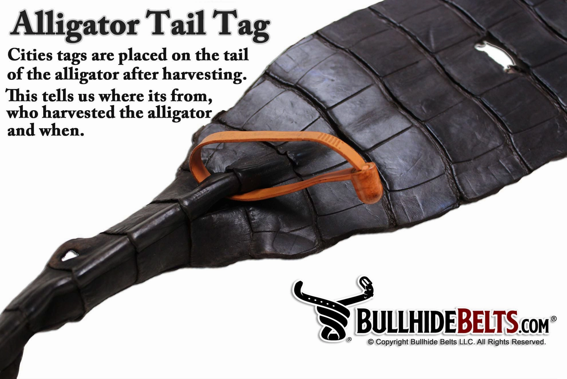 Black Alligator Money Clip Wallet With Credit Card Slots
