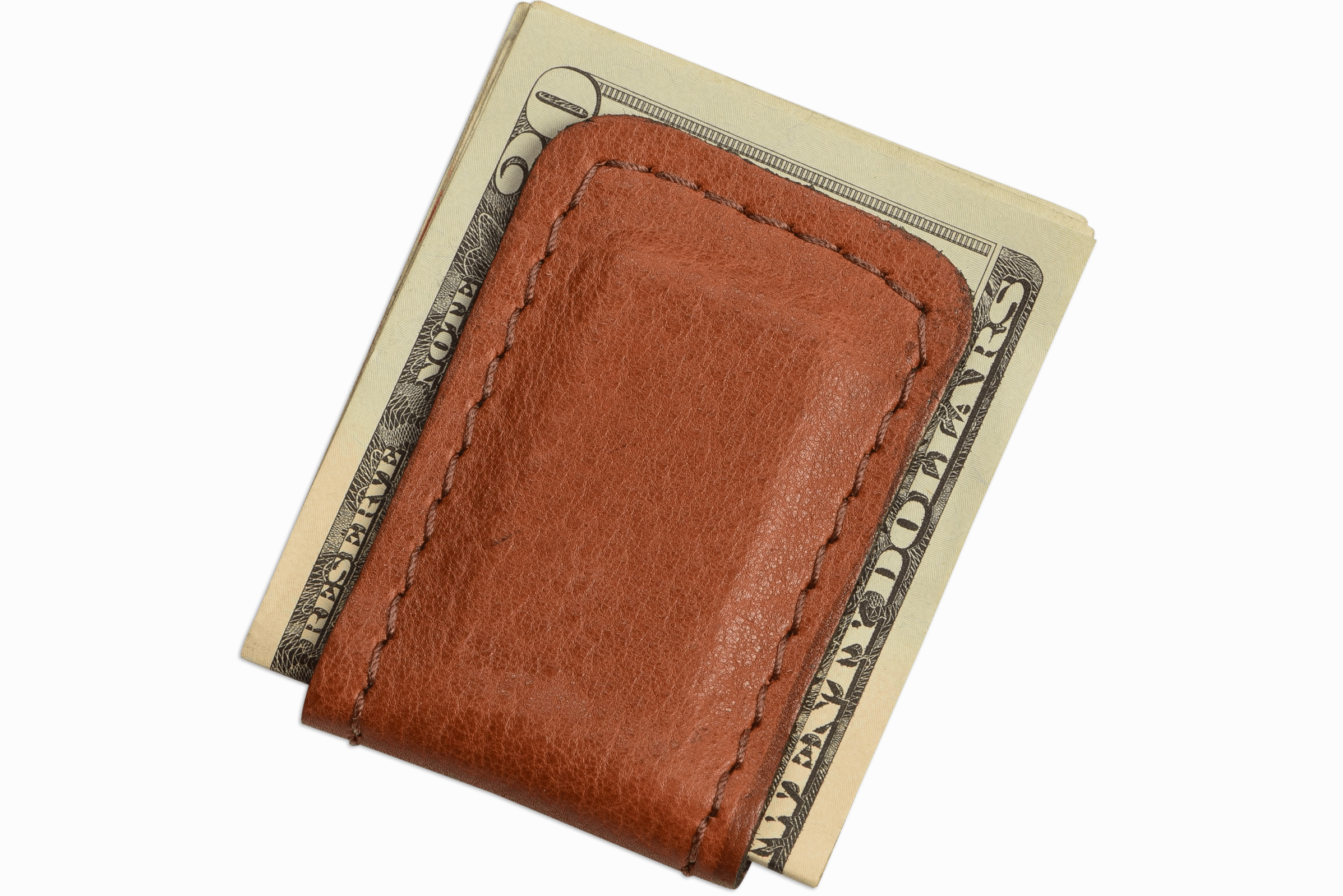 Brown American Bison Men's Magnetic Money Clip