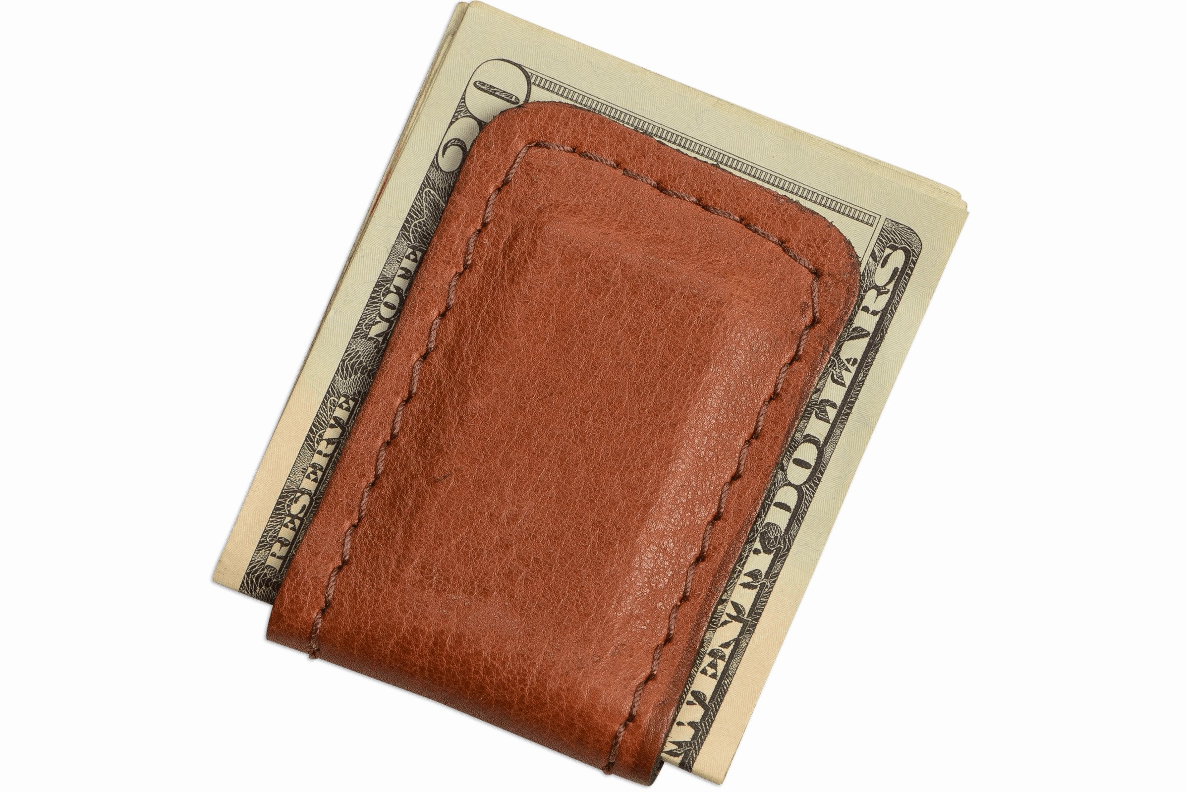 Brown American Bison Men's Magnetic Money Clip