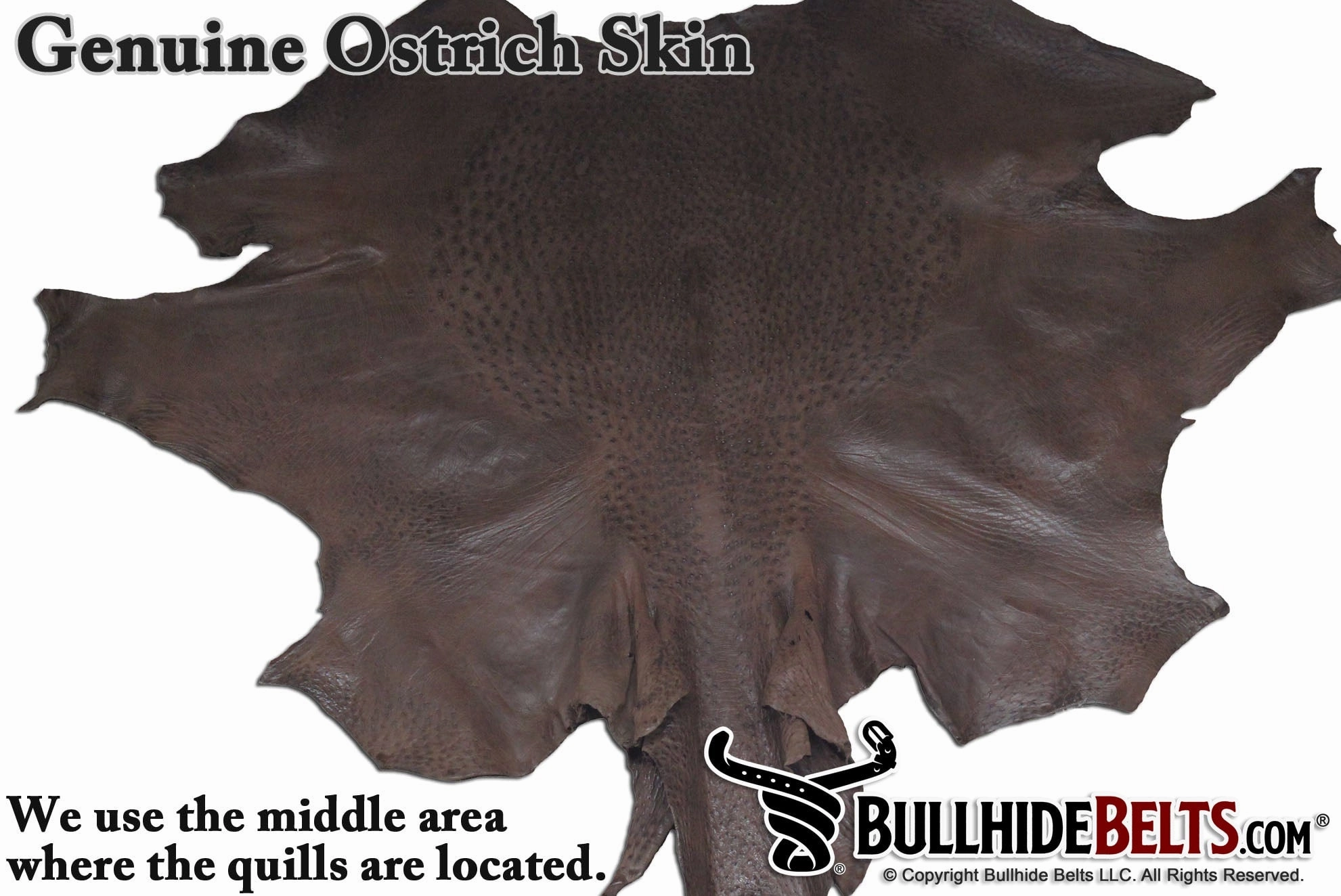Brown Ostrich Money Clip Wallet With Credit Card Slots