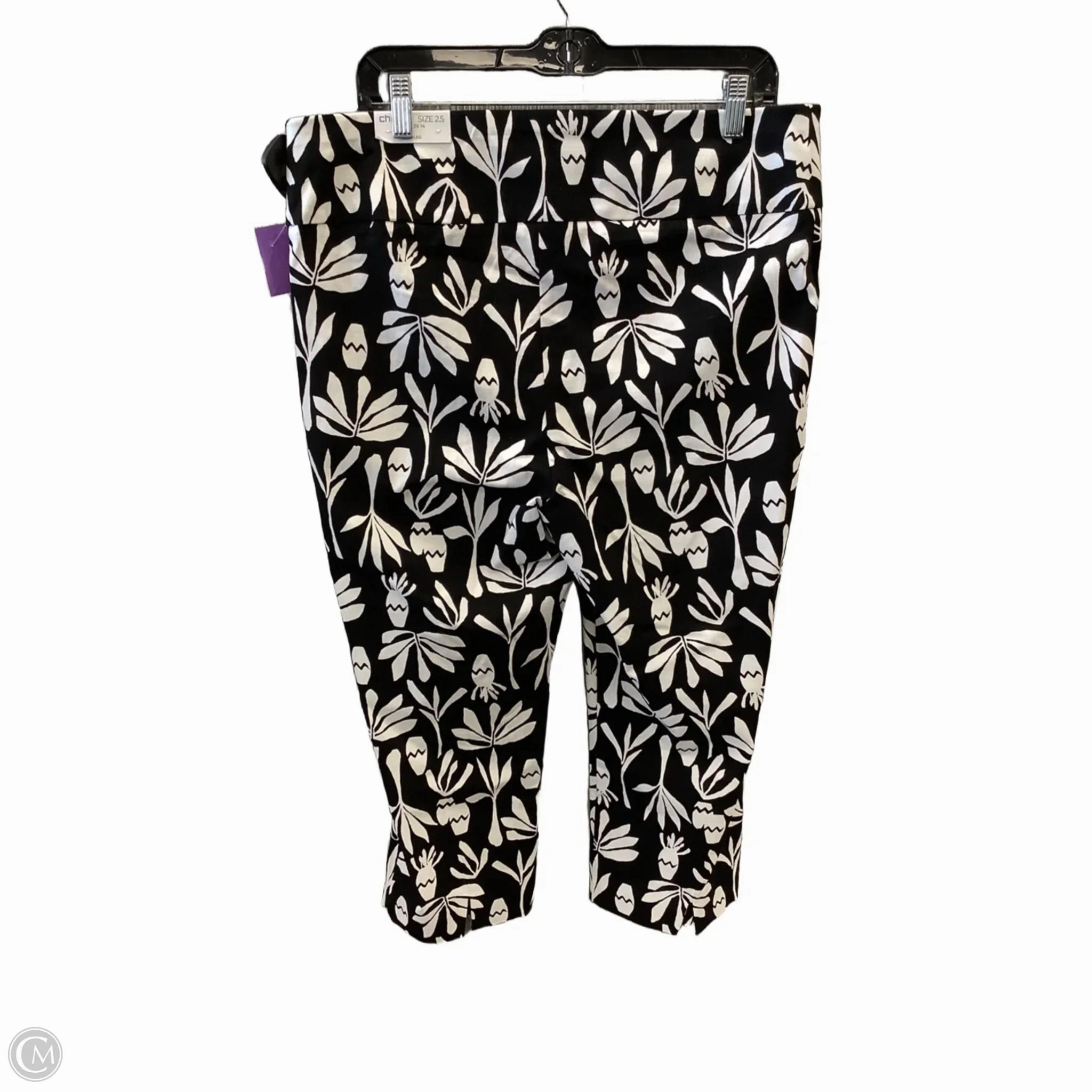 Capris By Chicos In Black & White, Size: 14