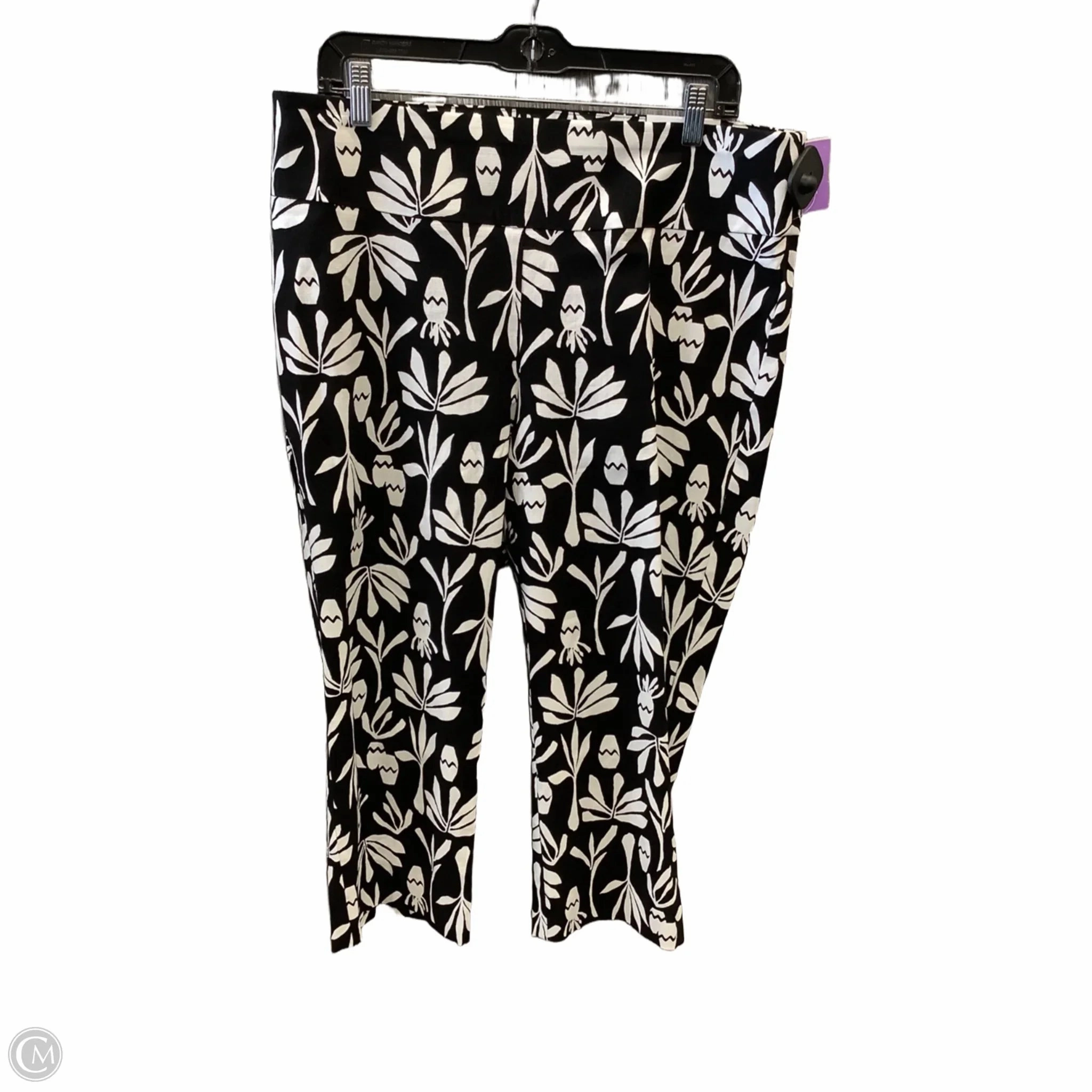 Capris By Chicos In Black & White, Size: 14
