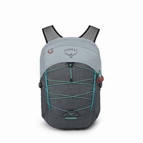 Osprey 10004601 Quasar Commuter Backpack, Silver Lining/Tunnel Vision Pop