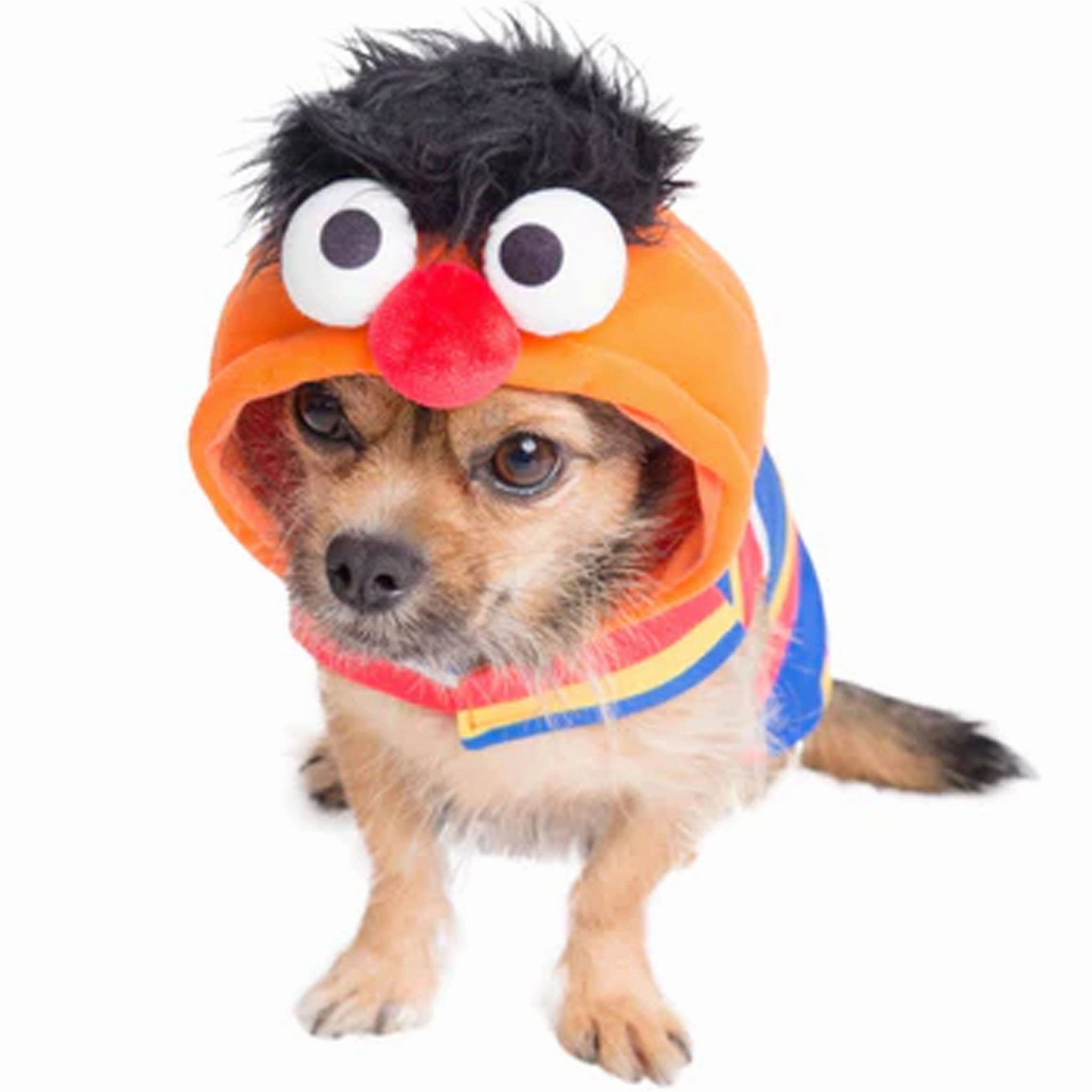 Pet Krewe Ernie Costume