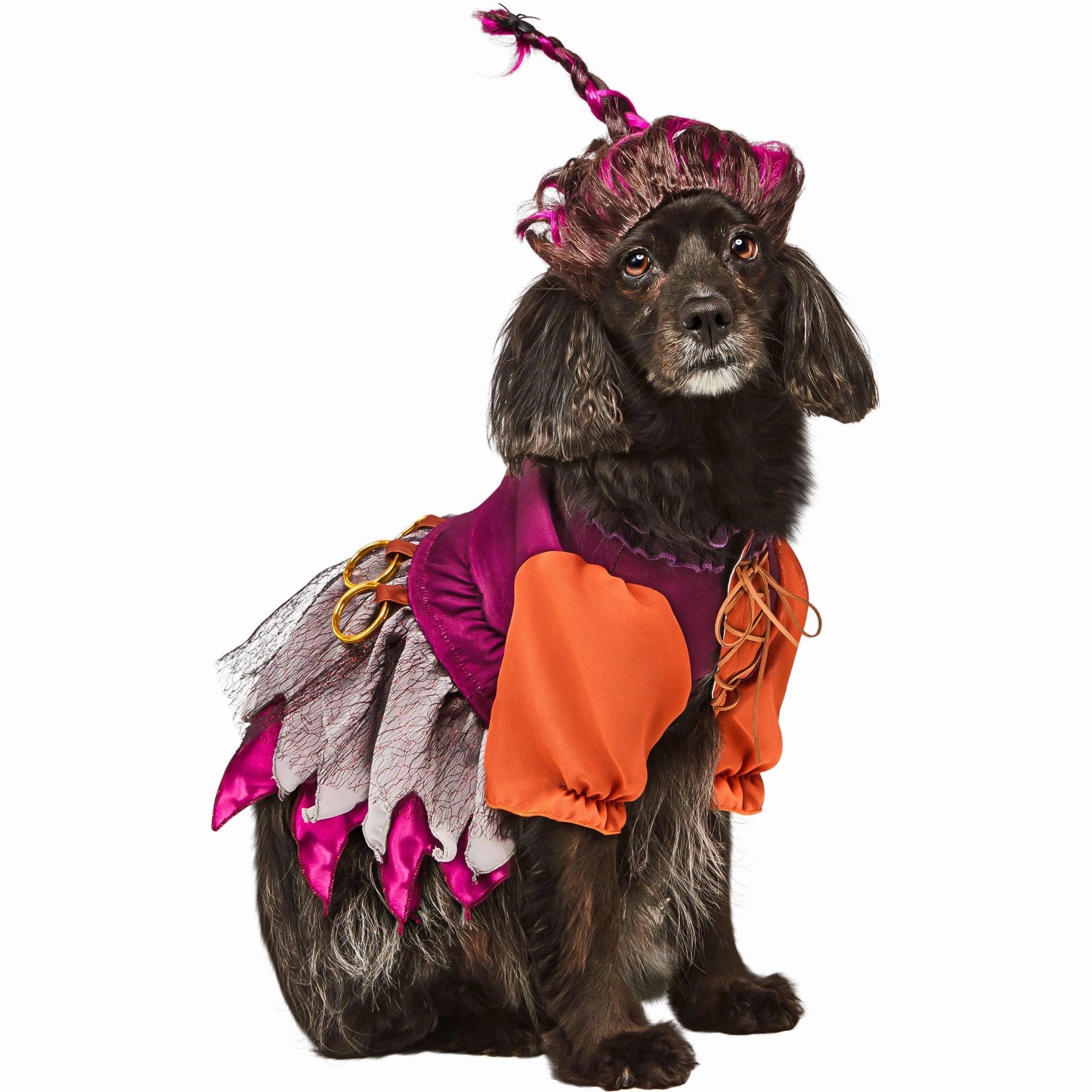 Rubie's Hocus Pocus Mary Pet Costume