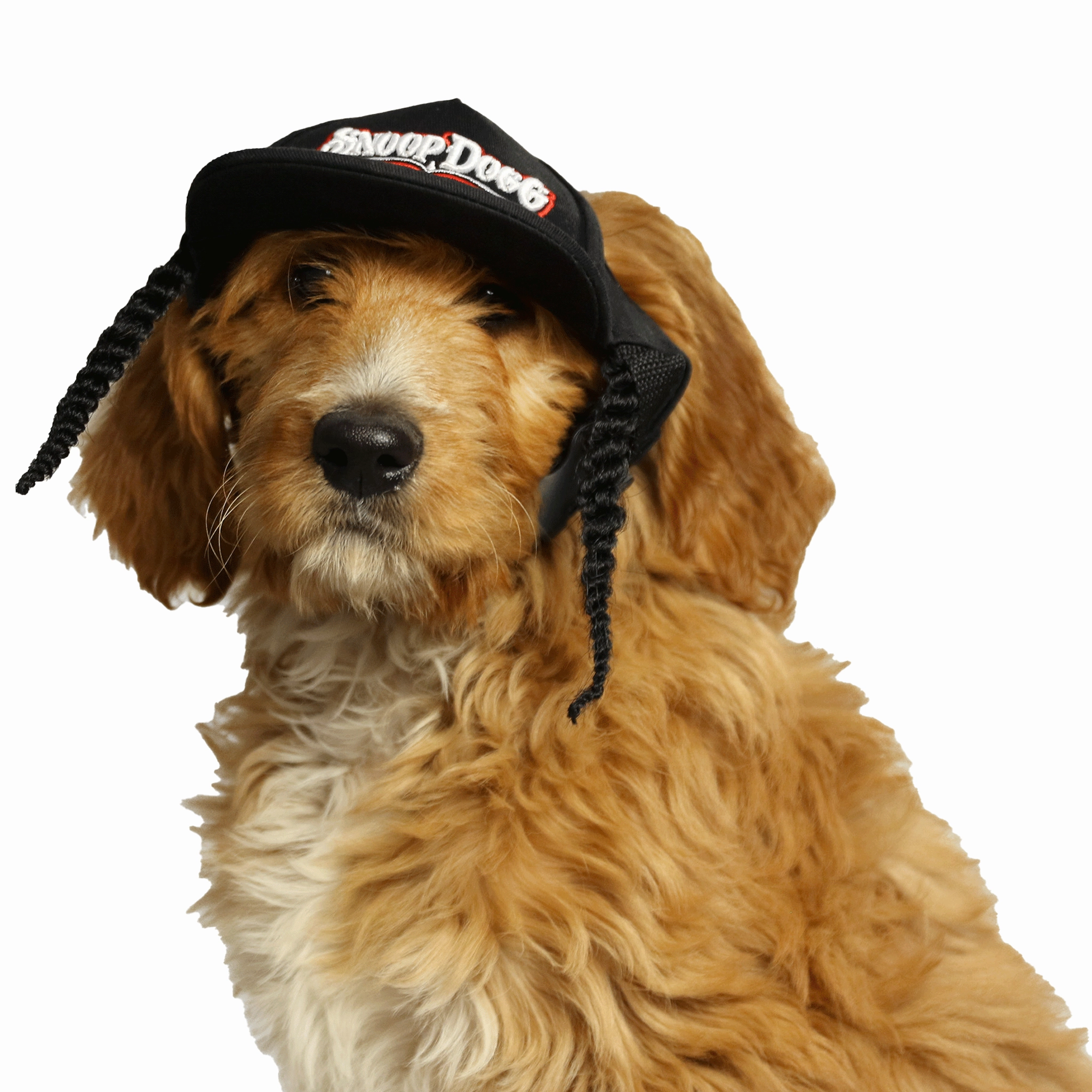Snoop Doggie Doggs Baseball Hat for Dogs and Cats